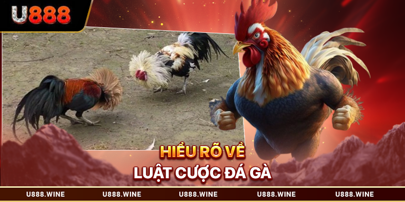 Hiểu rõ về luật cược đá gà