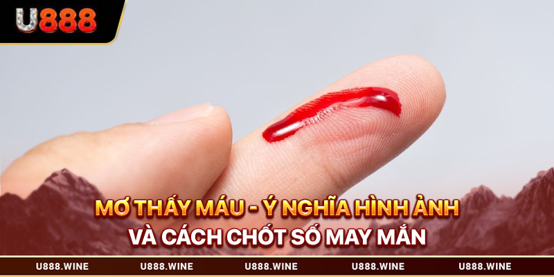 Mơ Thấy Máu - Ý Nghĩa Hình Ảnh Và Cách Chốt Số May Mắn 2026 mơ thấy máu